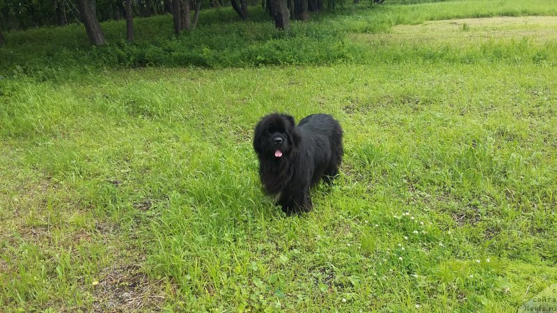 Фотография № 209319