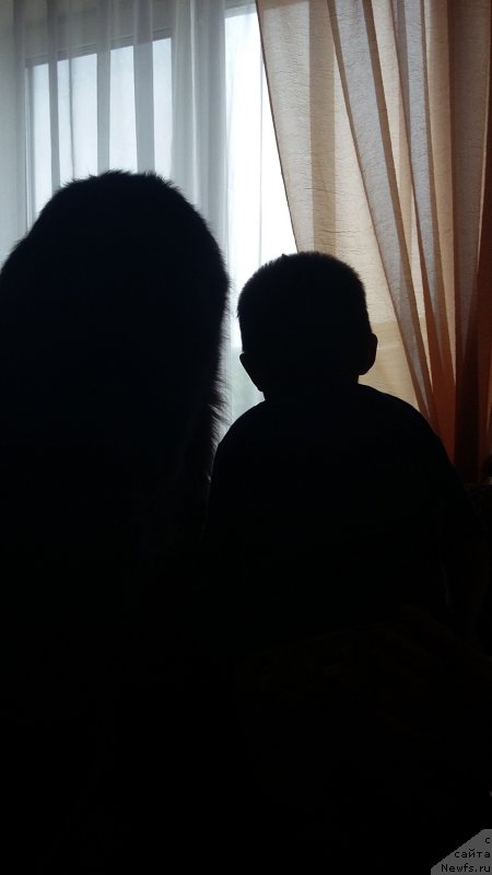 Фото: ньюфаундленд Nessi Blyek s  Lesnoy Zaimki (Несси Блэк с  Лесной Заимки), внук