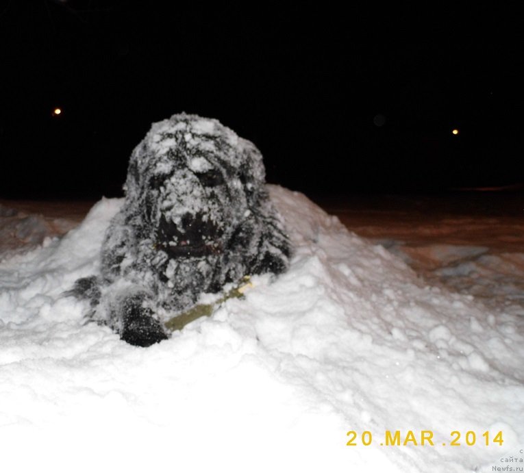 Фото: Natal'ya Kolyuchkina (Наталья Колючкина)