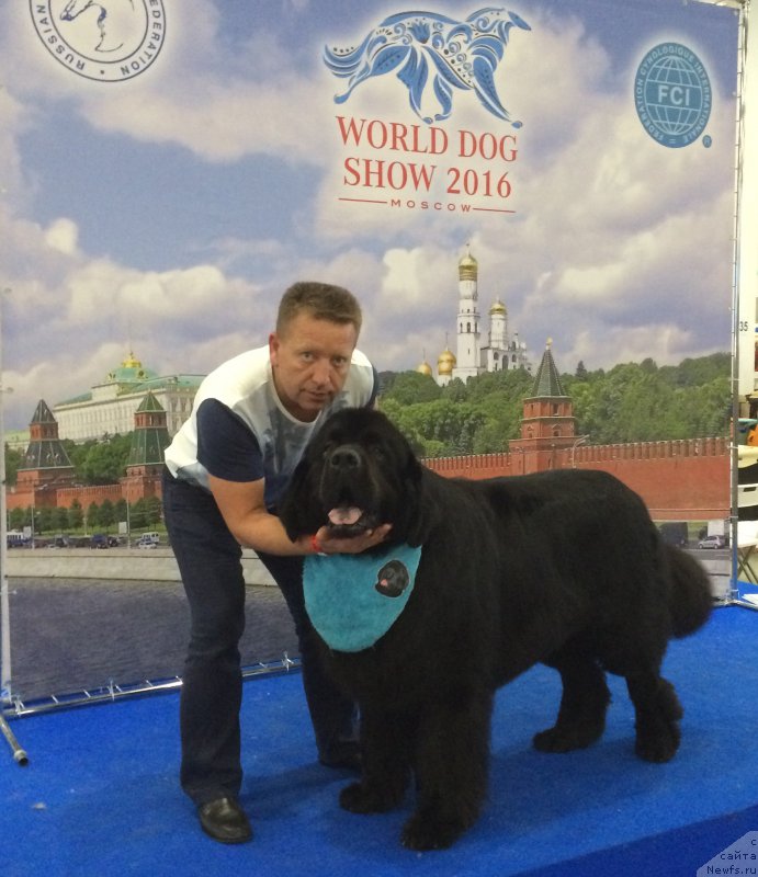 Фотография № 209335