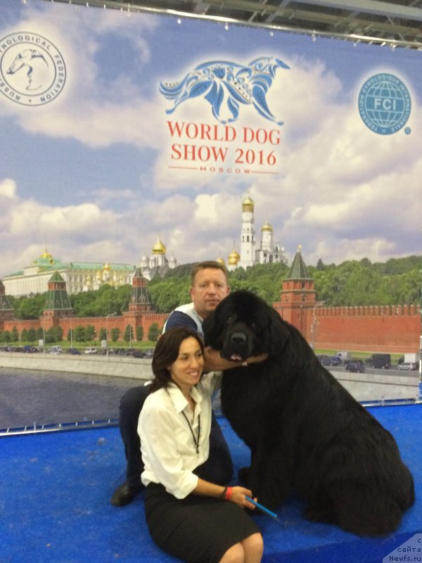 Фотография № 209339