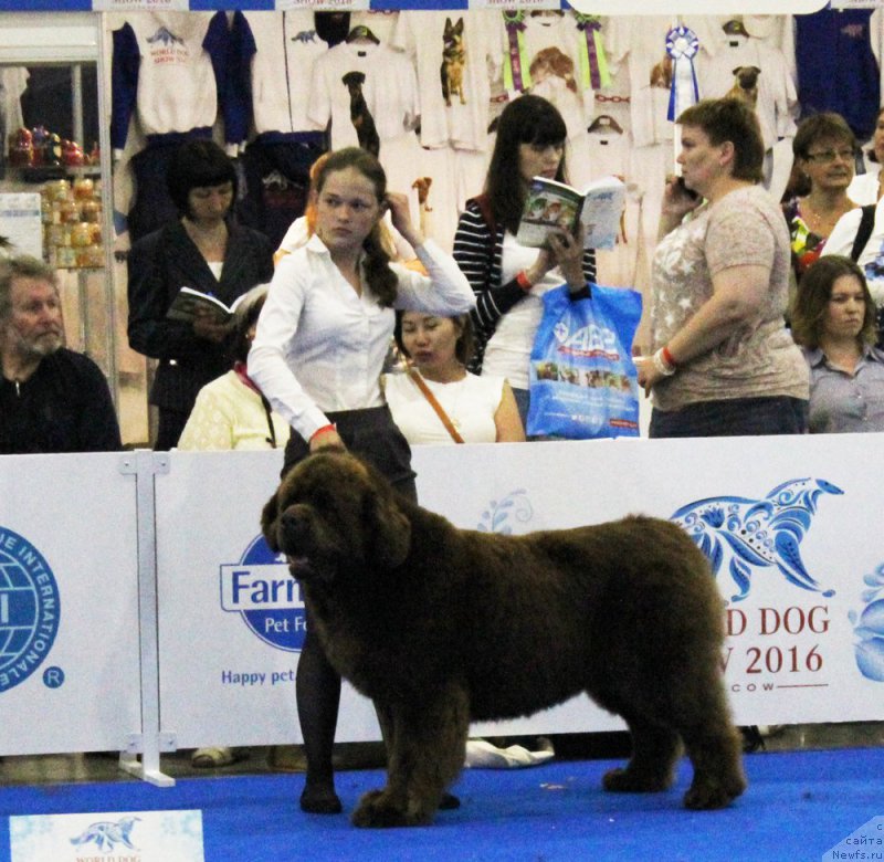 Фотография № 209351