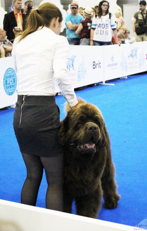 Фотография № 209352