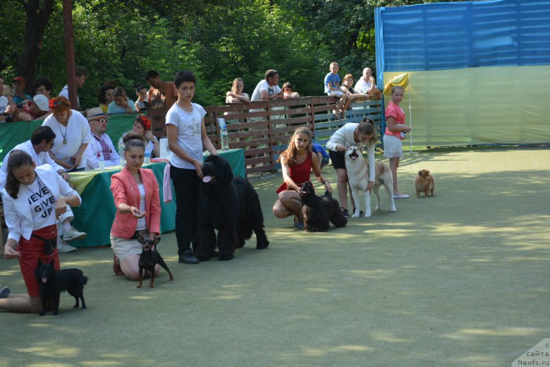 Фотография № 209370