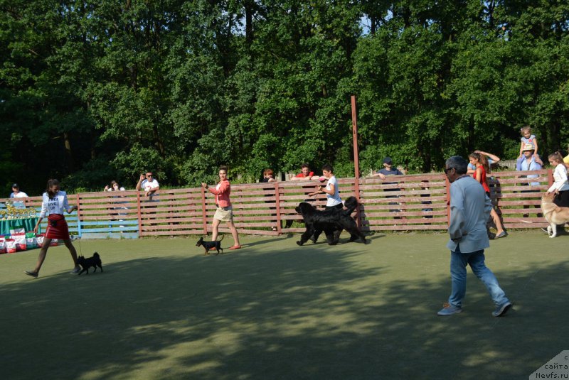 Фотография № 209372