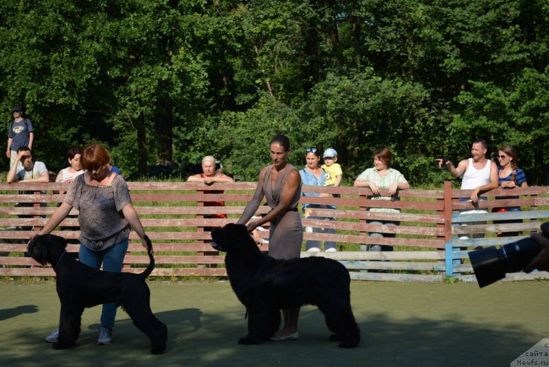 Фотография № 209375