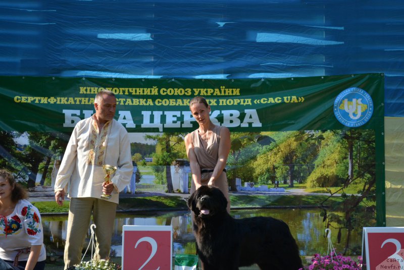 Фотография № 209377