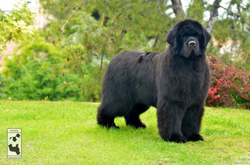 Фотография № 209379