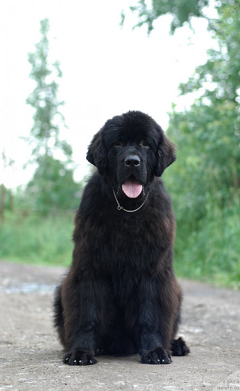 Фотография № 209391