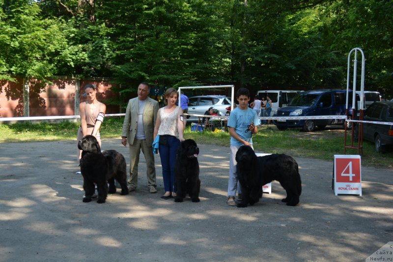 Фотография № 209394