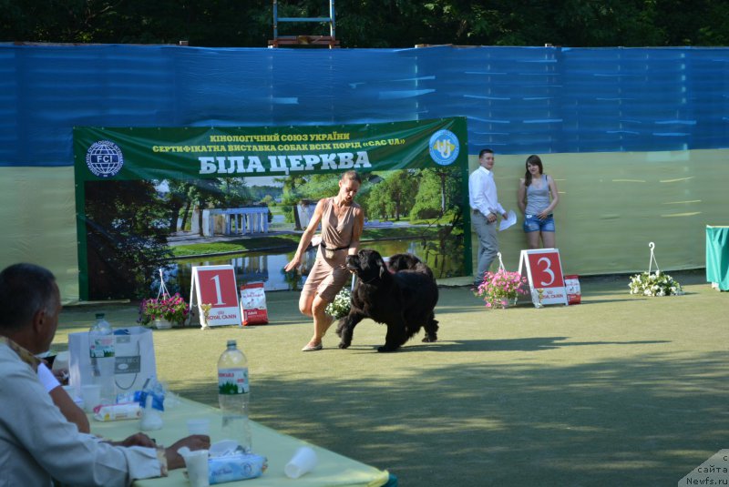 Фотография № 209395