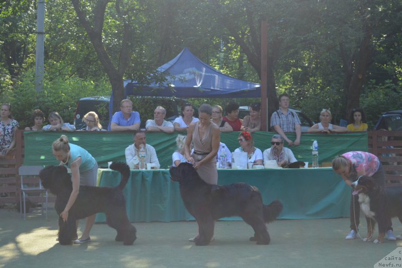 Фотография № 209396