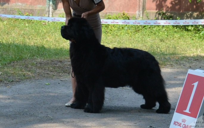 Фотография № 209397