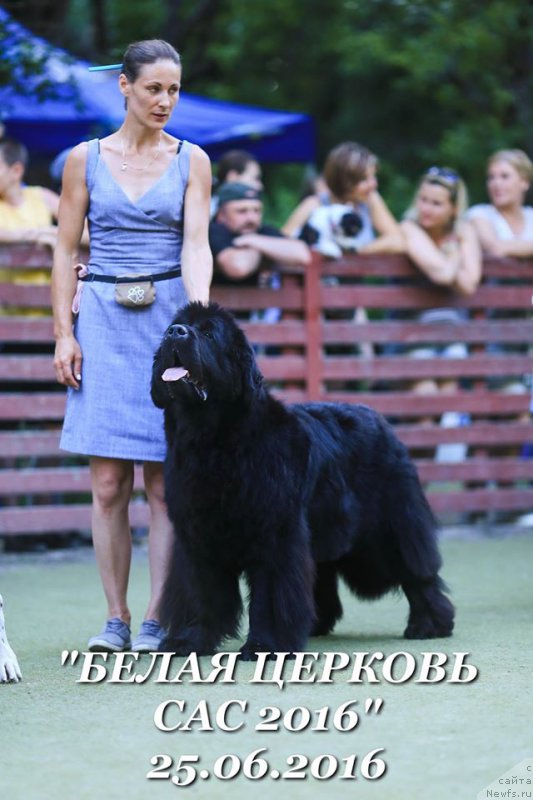 Фотография № 209400