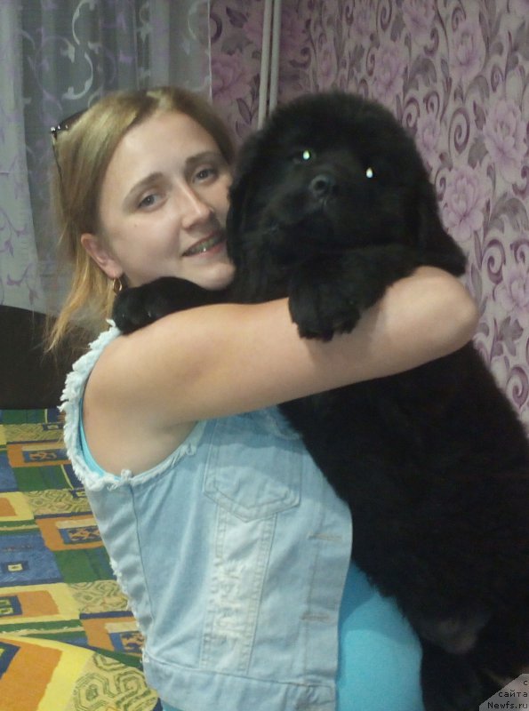 Фото: Marina Fedotova (Марина Федотова)