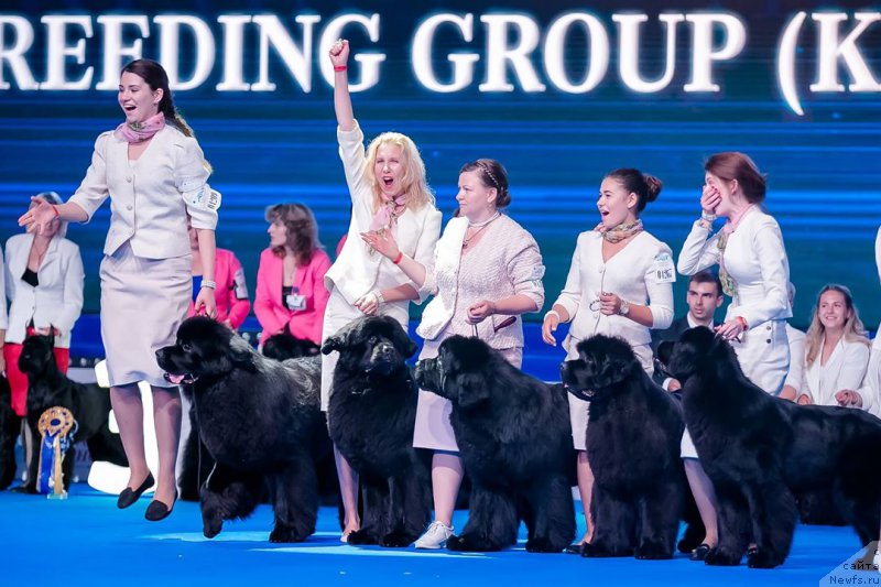 Фотография № 209431