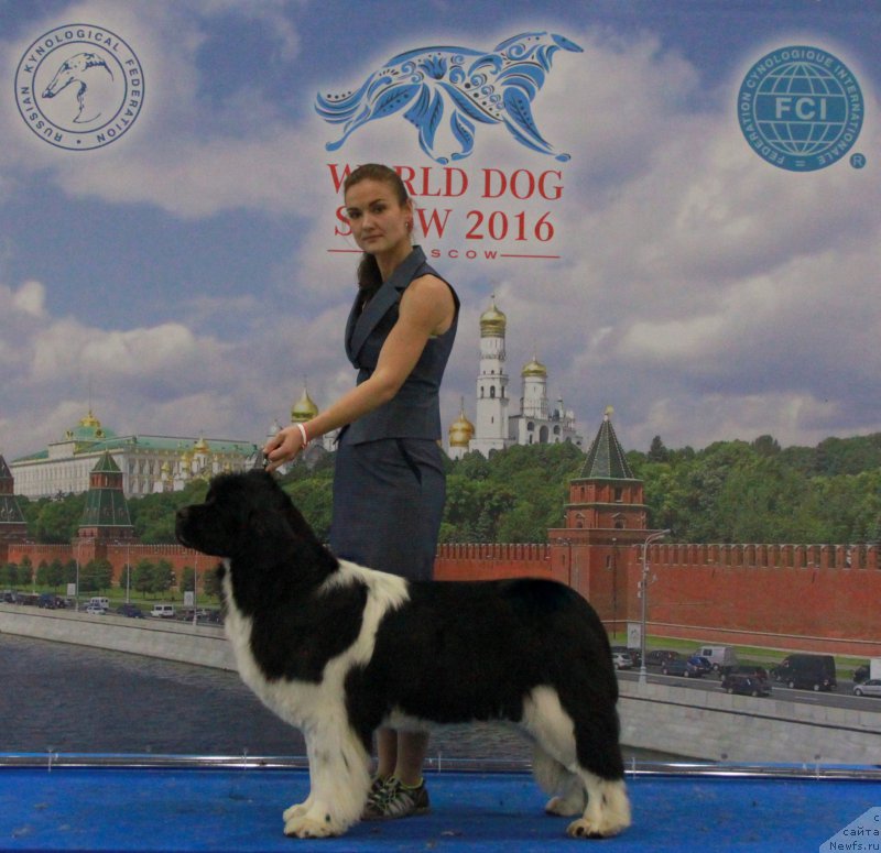 Фотография № 209437