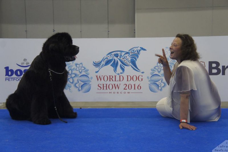 Фотография № 209442