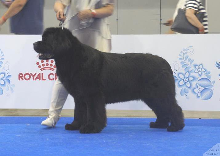 Фотография № 209444