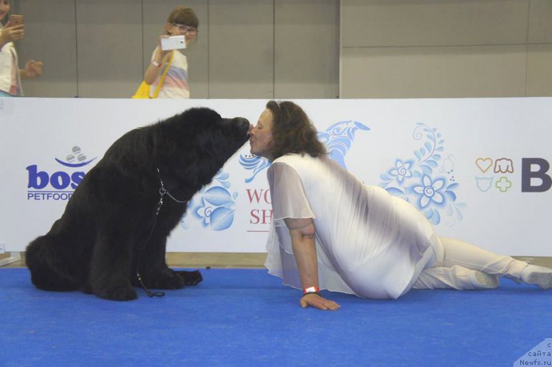 Фотография № 209445