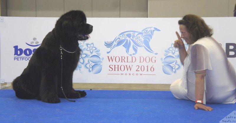 Фотография № 209446