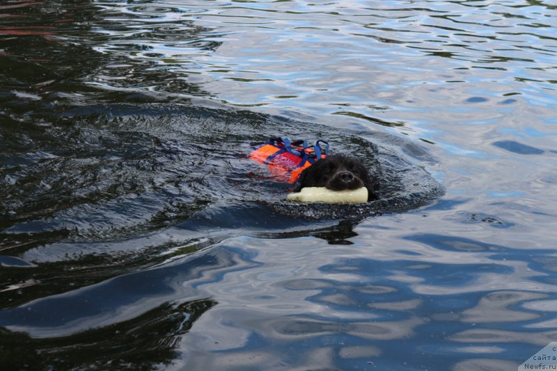 Фотография № 209448