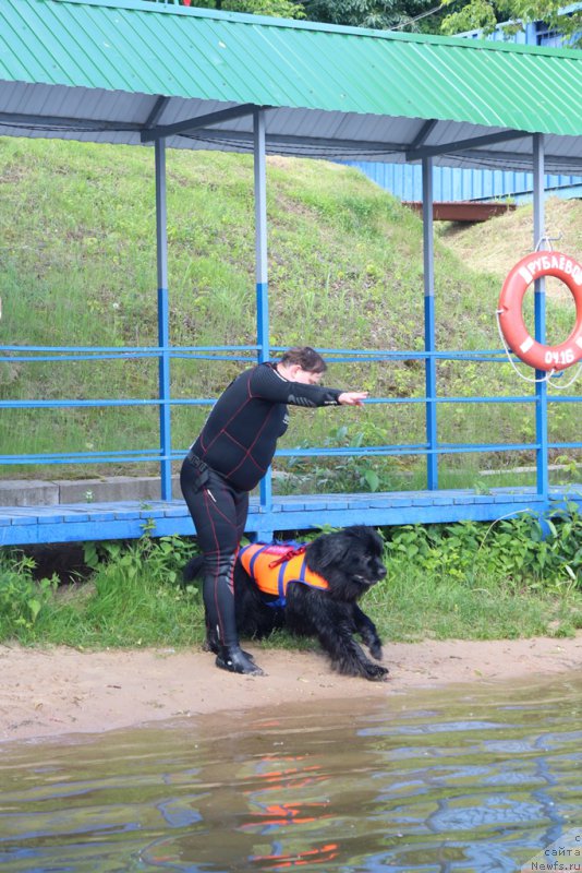 Фотография № 209449