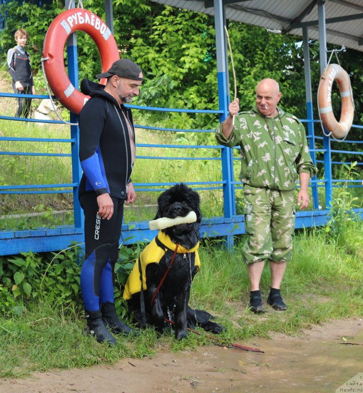 Фотография № 209450