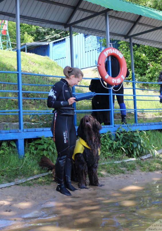 Фотография № 209452