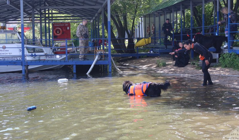 Фотография № 209453