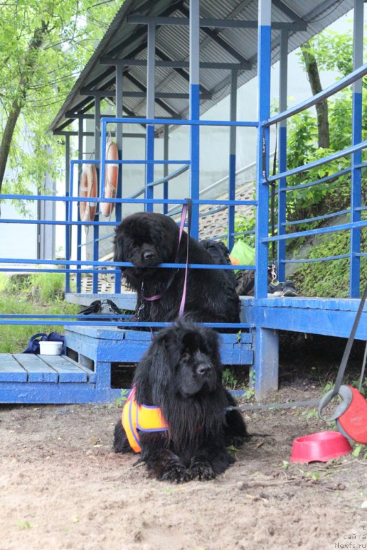 Фотография № 209454