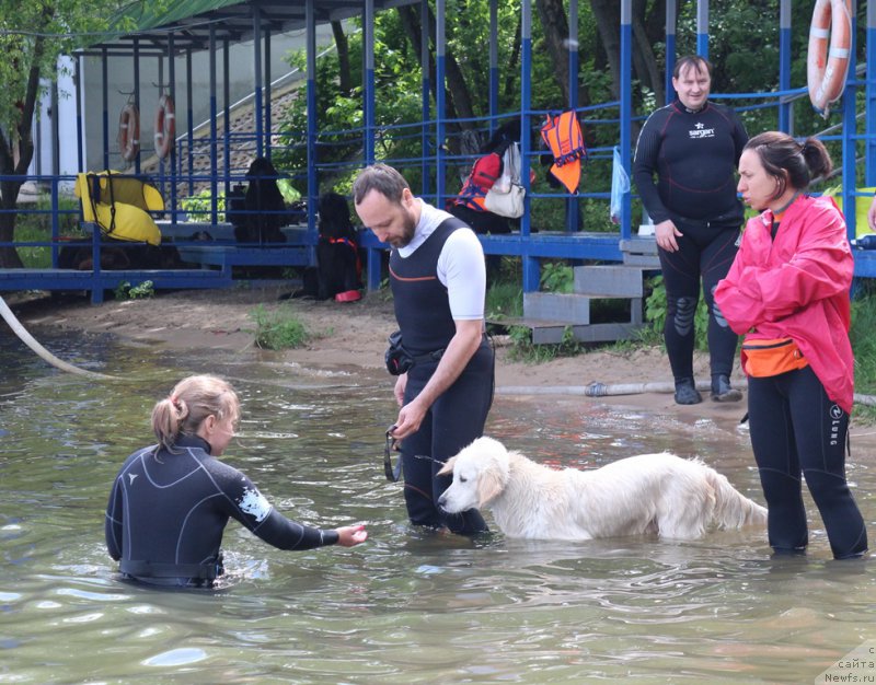 Фотография № 209455