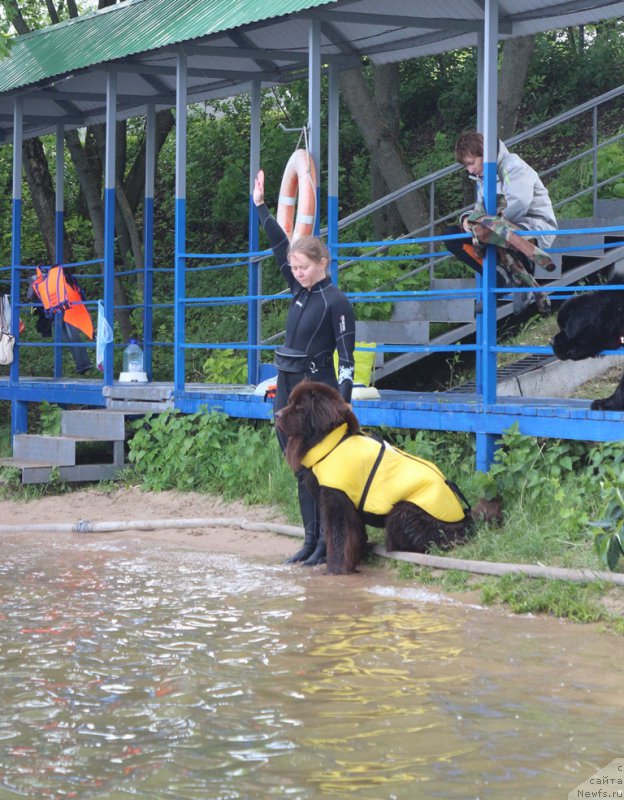 Фотография № 209456