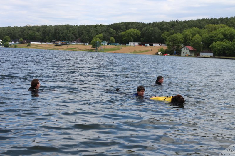 Фотография № 209457