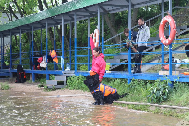 Фотография № 209458