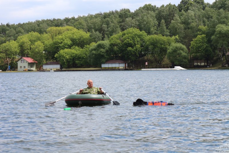 Фотография № 209459