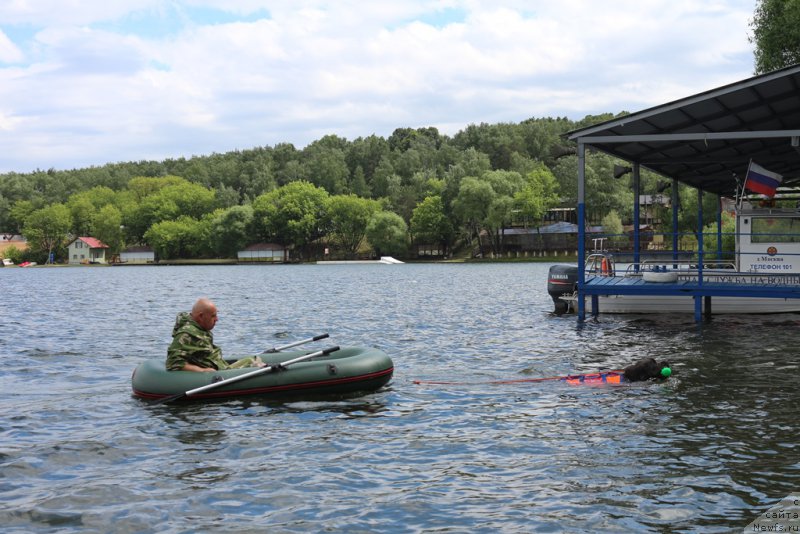 Фотография № 209460