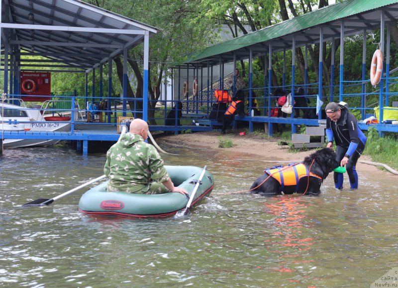 Фотография № 209461