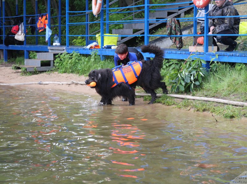 Фотография № 209464