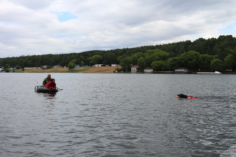 Фотография № 209465