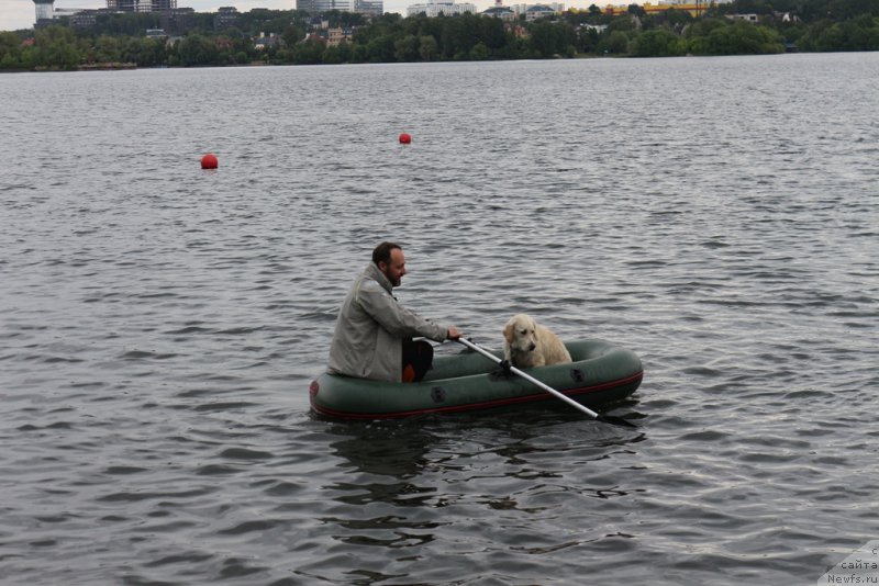 Фотография № 209469