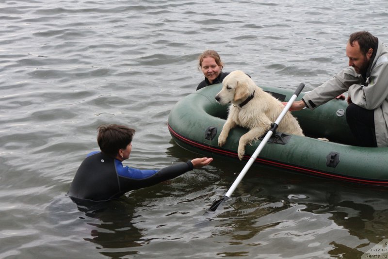 Фотография № 209470