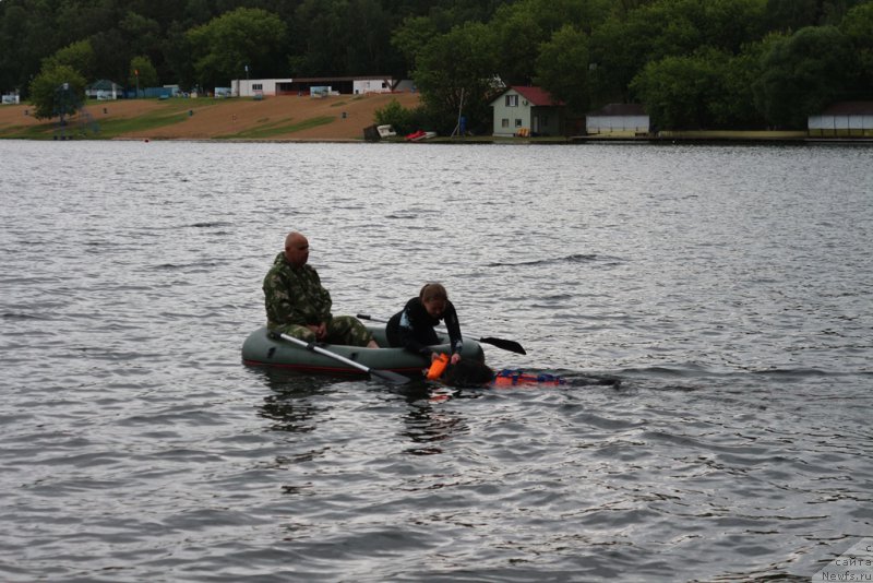 Фотография № 209472