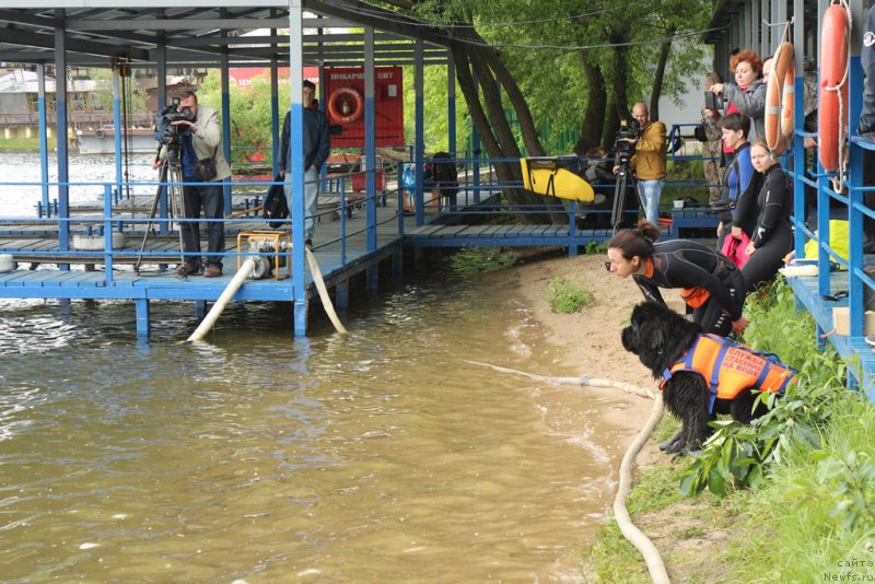 Фотография № 209473