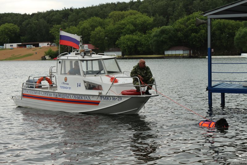 Фотография № 209474