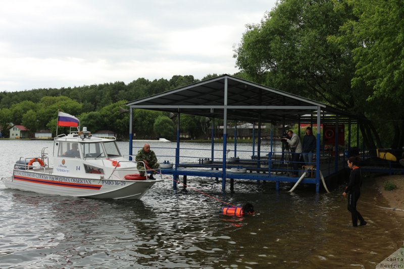 Фото: Aleksandr Burmistrov (Александр Бурмистров), ньюфаундленд Beguschaya po Volnam Foget Mi Not (Бегущая по Волнам Фогет Ми Нот), Aleksandra Fetisova (Александра Фетисова)