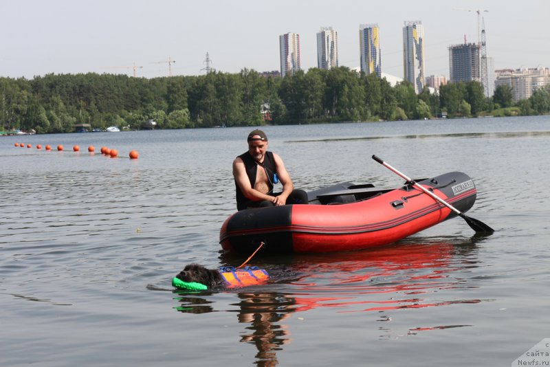 Фотография № 209476