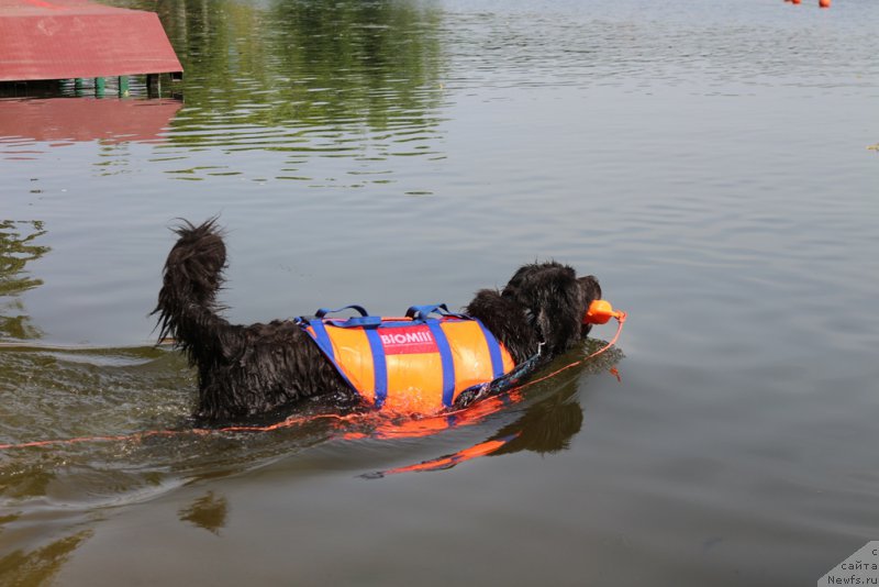 Фотография № 209477