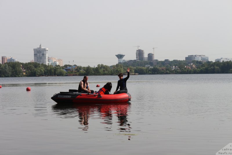 Фото: Elena Bogdanova (Елена Богданова), ньюфаундленд Angel Khranitel Gruffidd (Ангел Хранитель Граффидд)