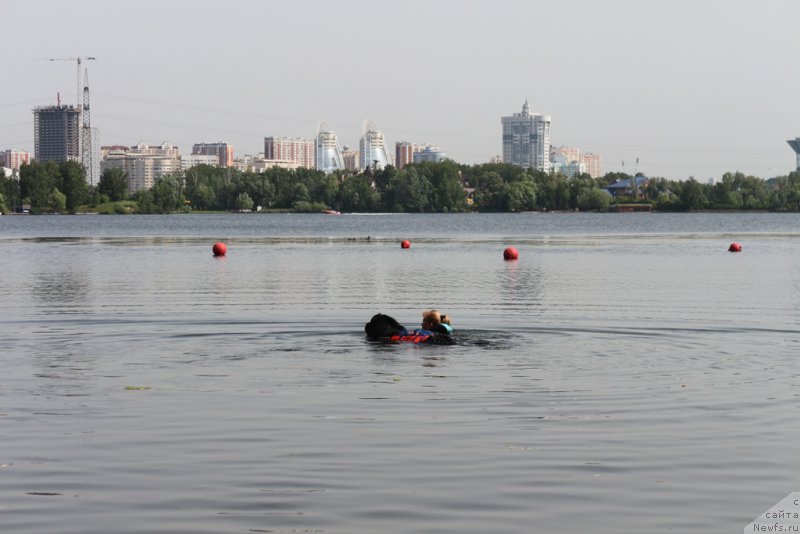 Фотография № 209479